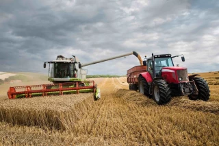 Une production de blé français au rendez-vous du monde
