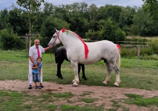 Une race à faire connaître