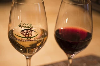 Caves ouvertes à Auxey-Duresses en octobre