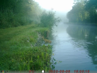 Des aménagements ciblés