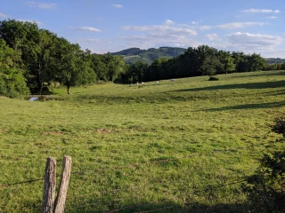 Les intérêts environnementaux de l'effet albédo