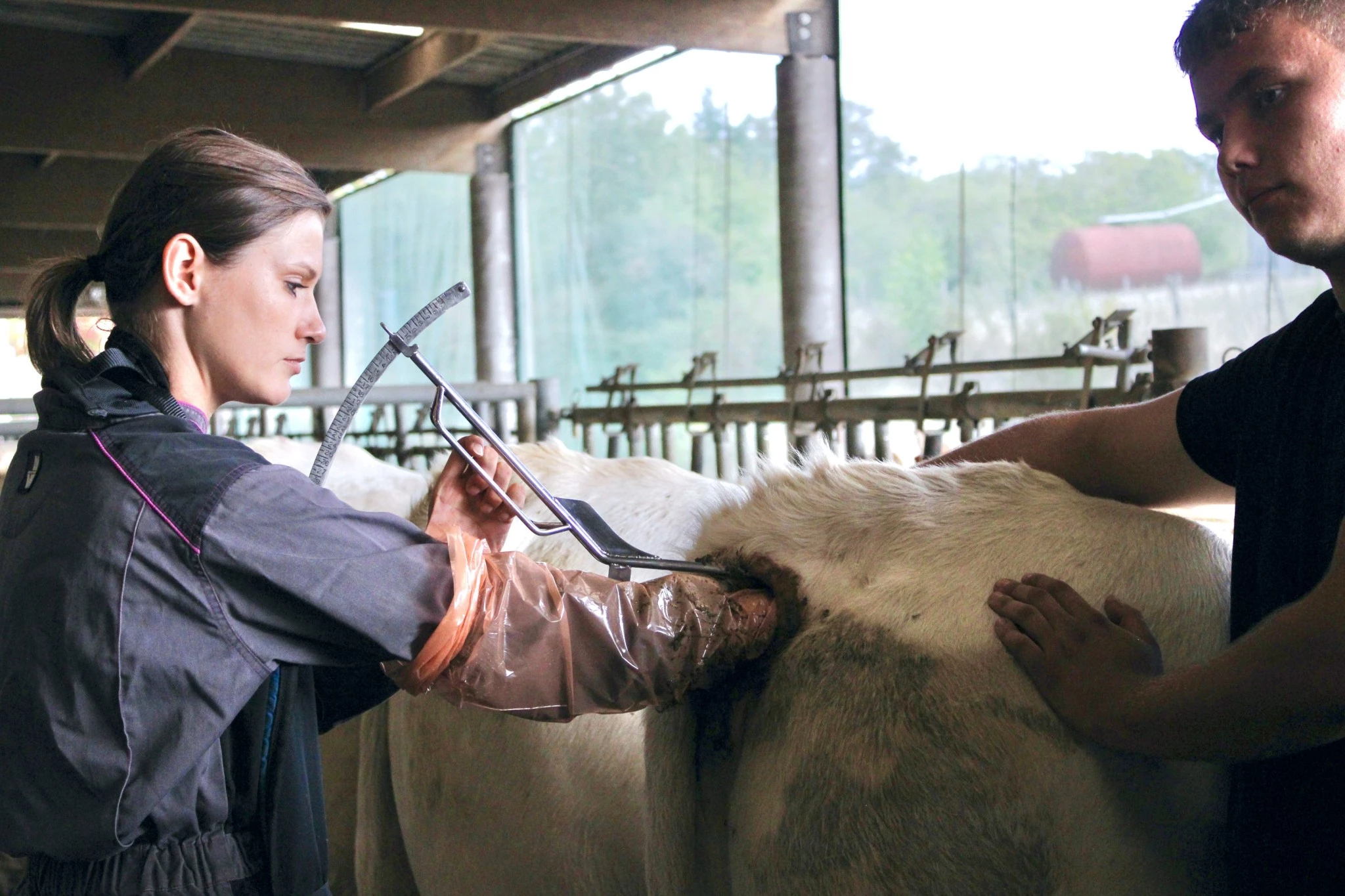 Photo supplémentaire