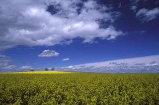 La profession agricole suspend le dialogue avec la Région