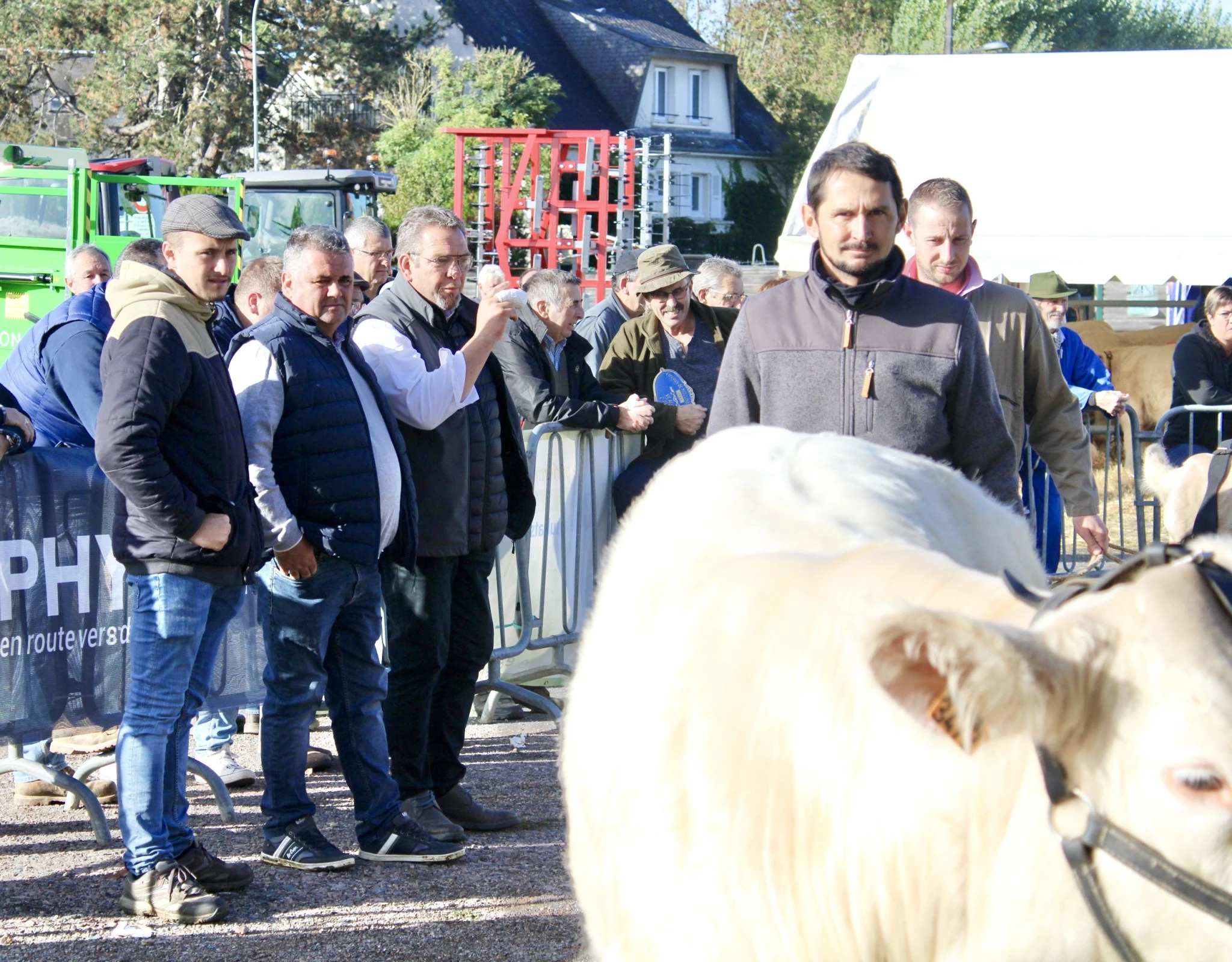 PHOTO  à mettre si possible 