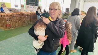 Des poils et des plumes à La Ferme Côte d'Or