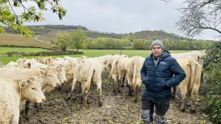 « De la poussière à la boue »