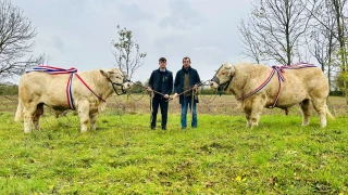 Carton plein pour le concours de Semur-en-Auxois