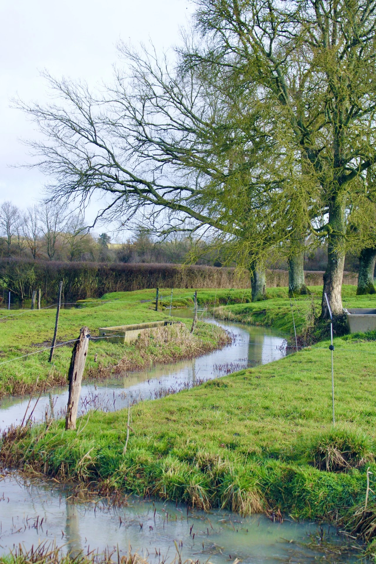 photo supplémentaire