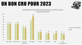 Fermoscopie 2023 : une rentabilité diminuée en grandes cultures en BFC