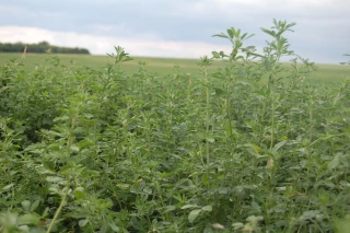 Valoriser d'excellents résultats environnementaux