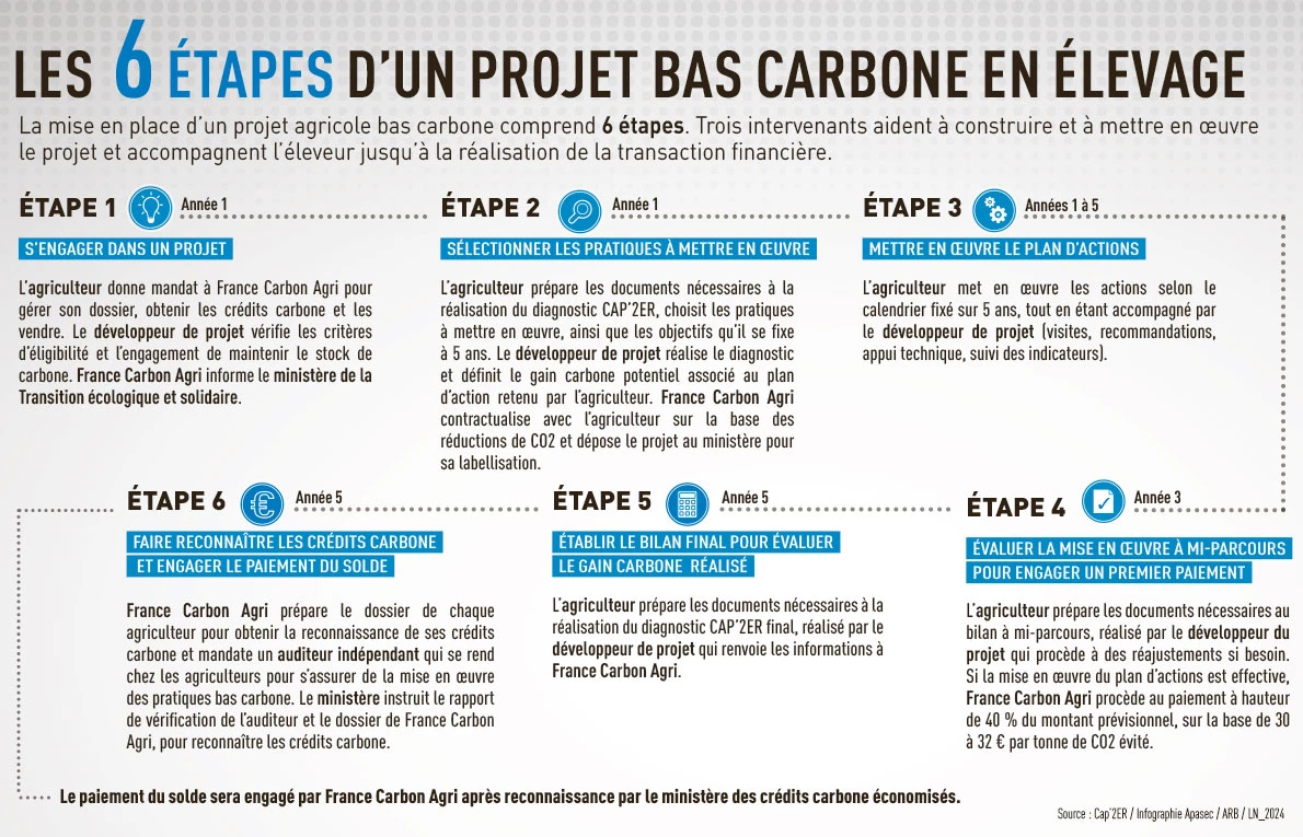 Infographie