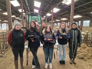 Une Barottine en finale