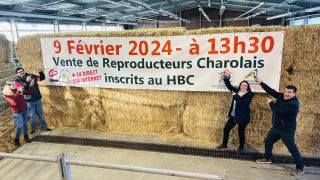 Vente de reproducteurs charolais le 9 février