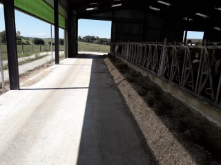 Profiter de la lumière naturelle