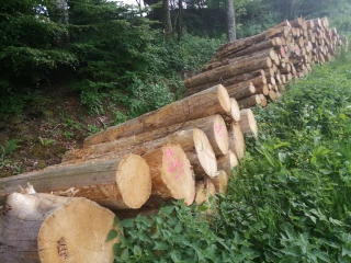 Une semaine pour trouver une formation ou un emploi