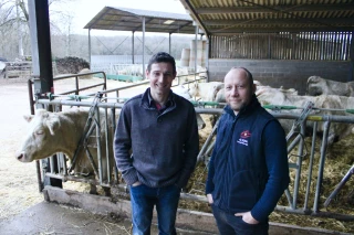 Des résultats rapides