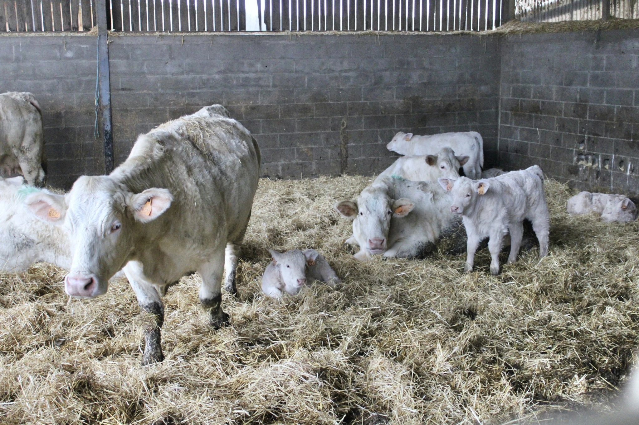 Contrôle de performances