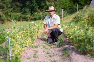 Quand légumes rime avec altitude