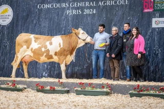 De beaux ambassadeurs