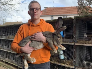 Bien joué mon lapin