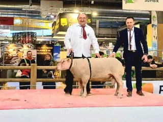 Un champion né dans l'Auxois