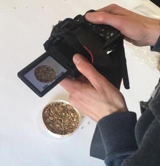 Valeur nutritionnelle : l'évaluation en un cliché