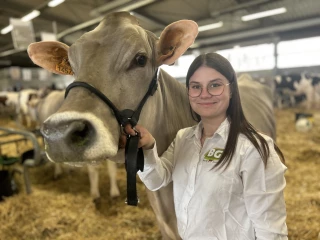 Elles reviennent d'Autriche