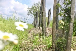 Reconstruire le paysage d'antan