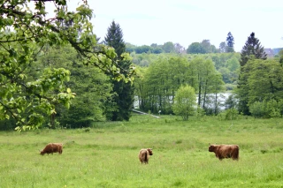 Beauté agricole