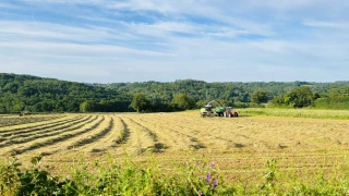 Alors, cette saison d'herbe ?