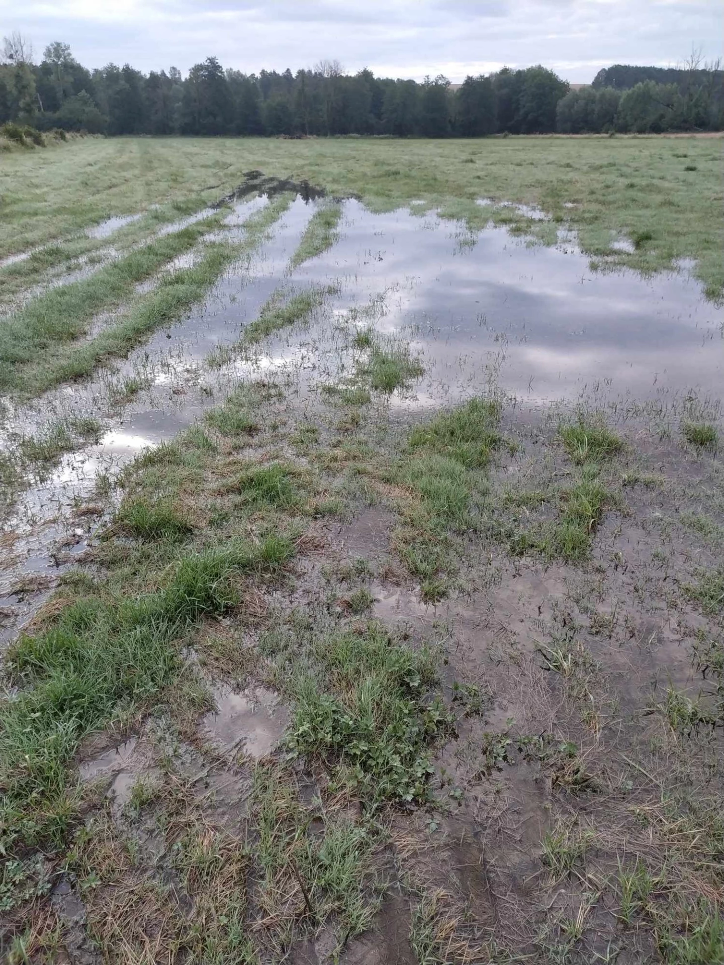 220 mm en juin à Châtillon