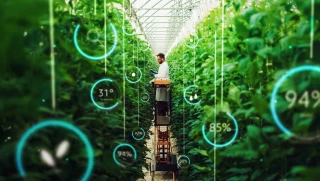 L'intelligence artificielle au service de l'agriculture