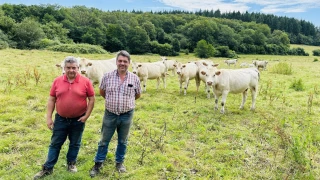 La Fête du Charolais prend date