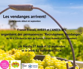 Vendanges