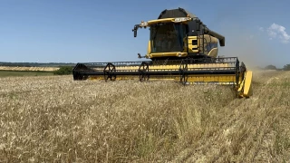 Pour quel résultat ?