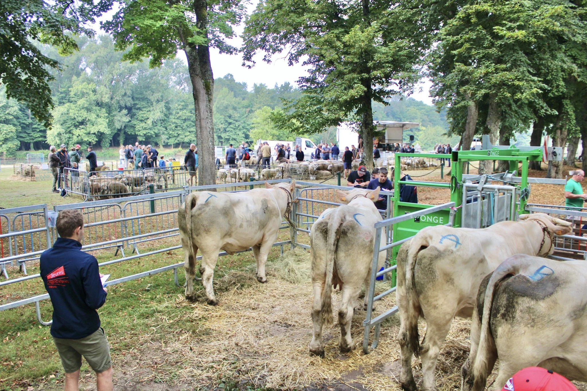 Palmarès jugement de bétail des JA