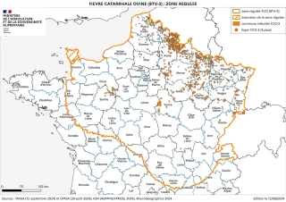 Piqûres de rappel