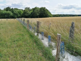 Réflexions sur l'avenir 