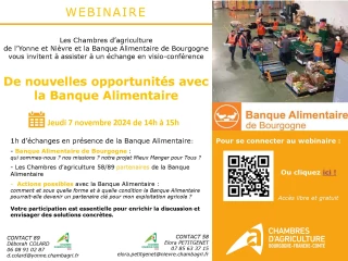 Banque alimentaire