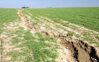 Sortir d'une agriculture minière qui dégrade nos sols