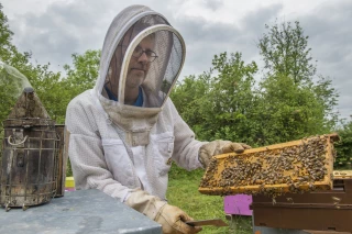 Les nouvelles technologies, alliées des apiculteurs