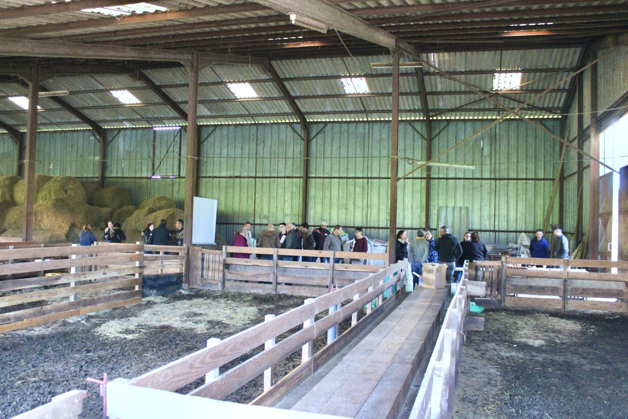 Image supplémentaire