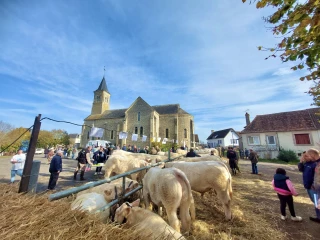 Remettre l'église au centre du village