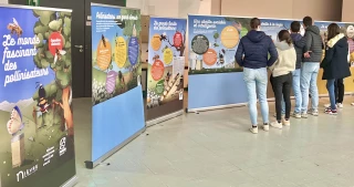 Les pollinisateurs sous les projecteurs