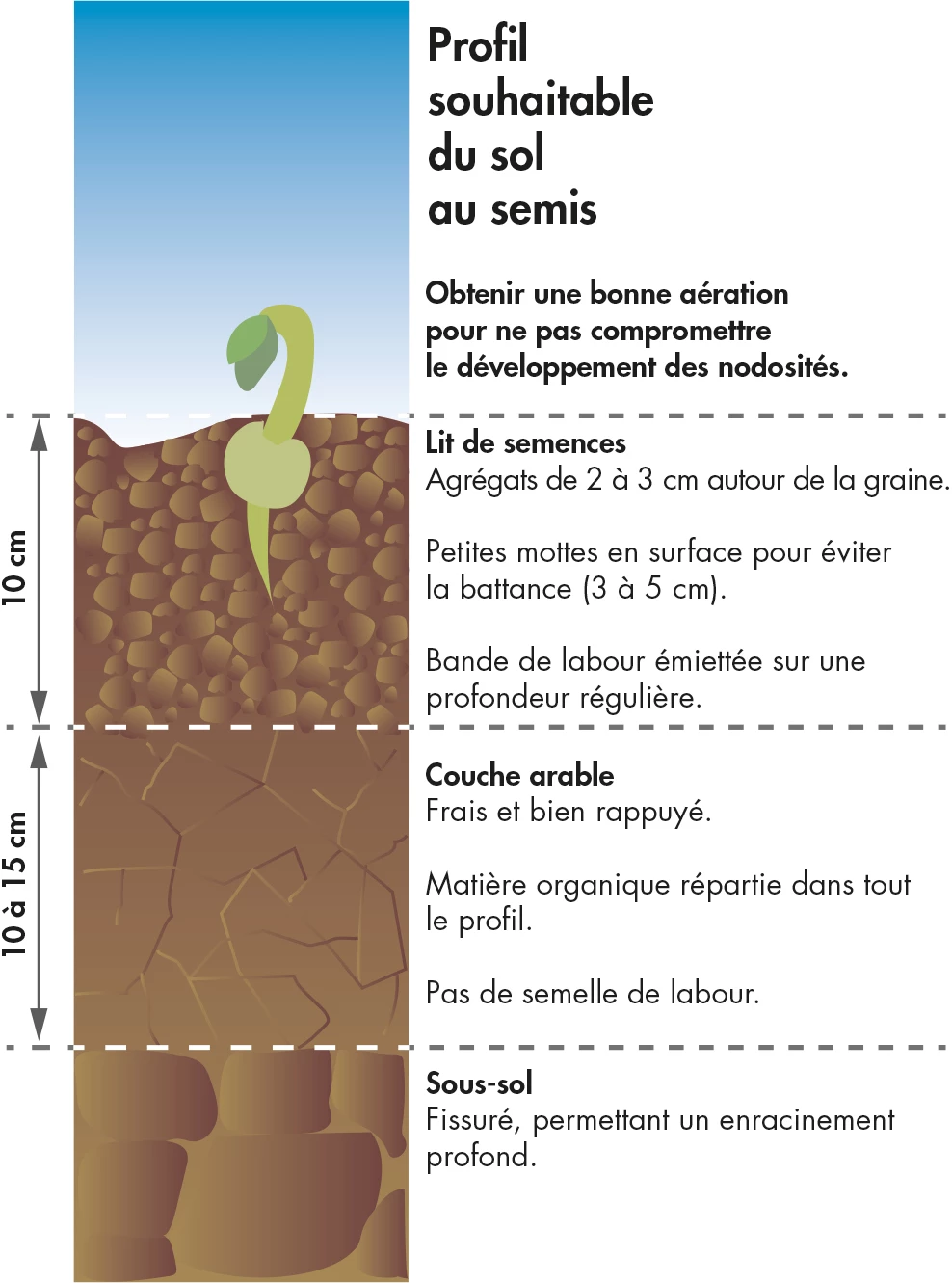 Profil souhaitable du sol au semis