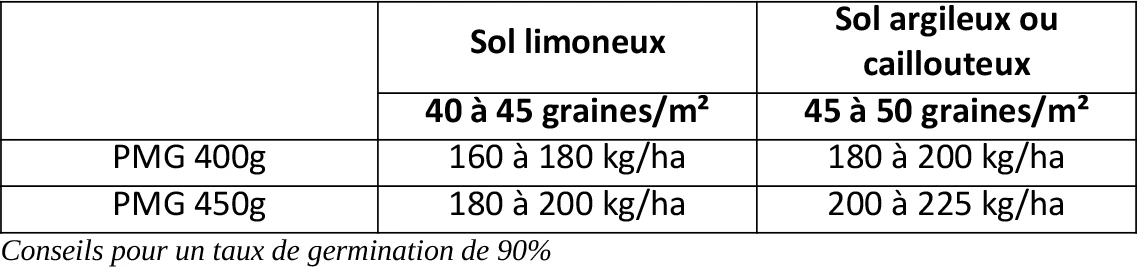 Les densités de semis selon les sols