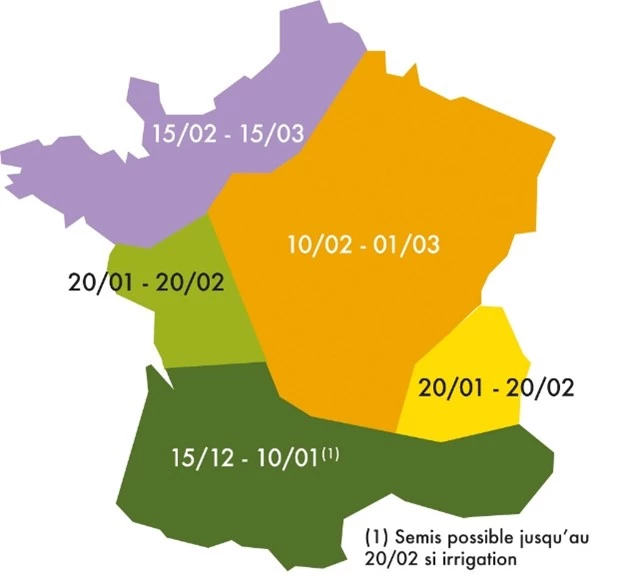 Plages de semis conseillées