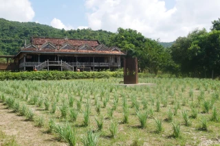 La Plantation, cœur de l’économie de Kampot