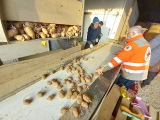 Deux tonnes de pommes de terres solidaires