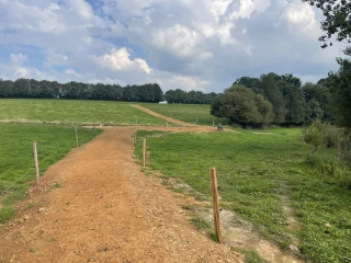 Tous les chemins mènent à l'herbe...